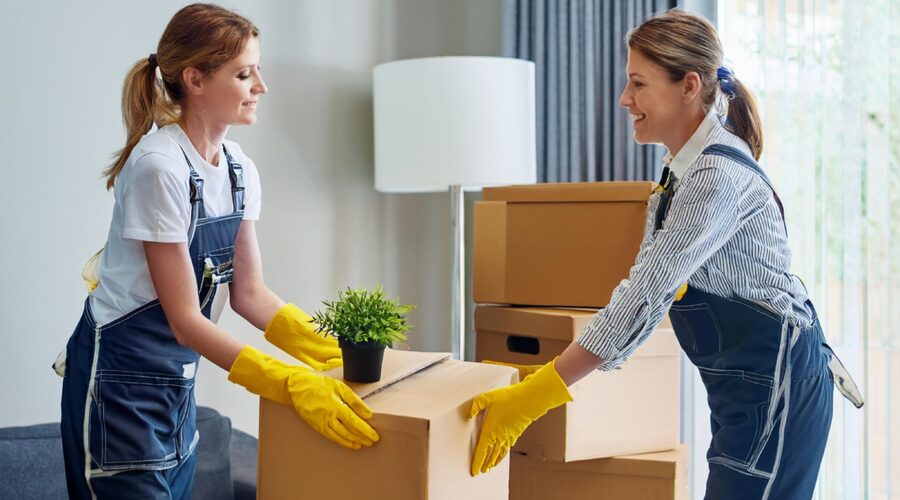 cleaning service company staff, Move in and move Out, Cleaning the room, one is carring box,